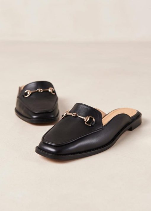 Modaary.shopc6515fbe7f 1