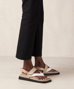 Modaary.shopc9227bd71c 1