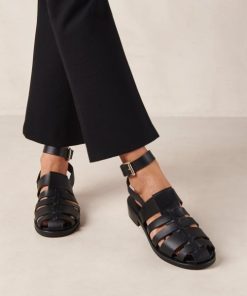 Modaary.shopc955b4496a 1
