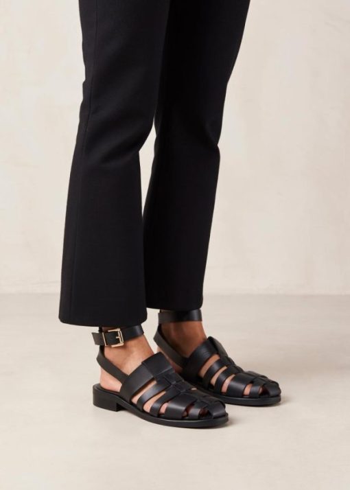 Modaary.shopc955b4496a 2