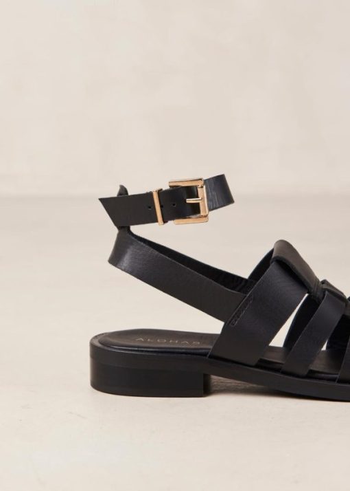 Modaary.shopc955b4496a 5