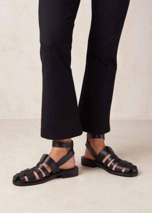 Modaary.shopc955b4496a 7