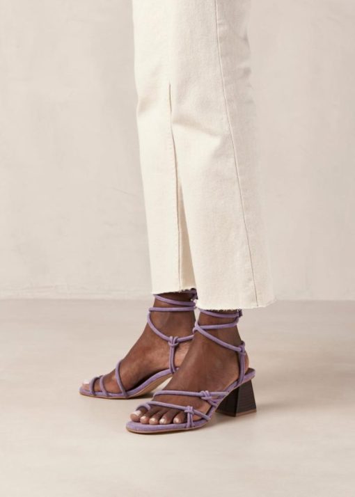 Modaary.shopcf87890ad8 5