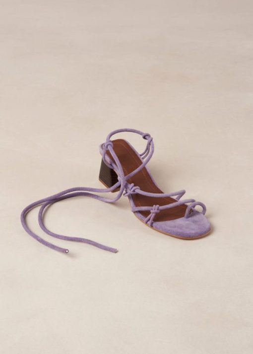 Modaary.shopcf87890ad8 6