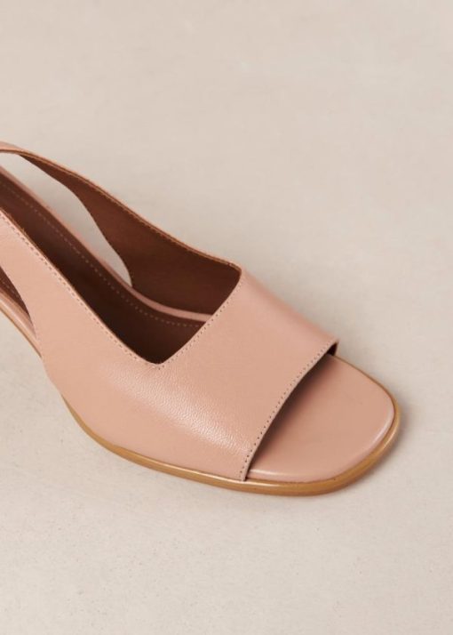 Modaary.shopd0ce943902 6
