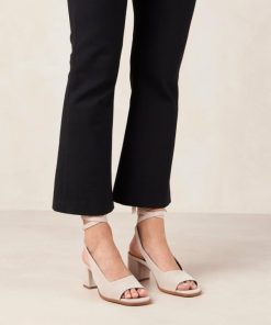 Modaary.shopd52535a162 2