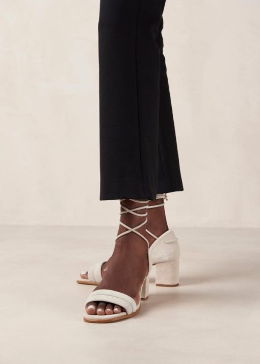 Modaary.shopd5824ff39d 3