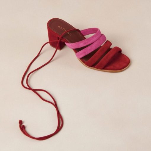 Modaary.shopd8af620017 2