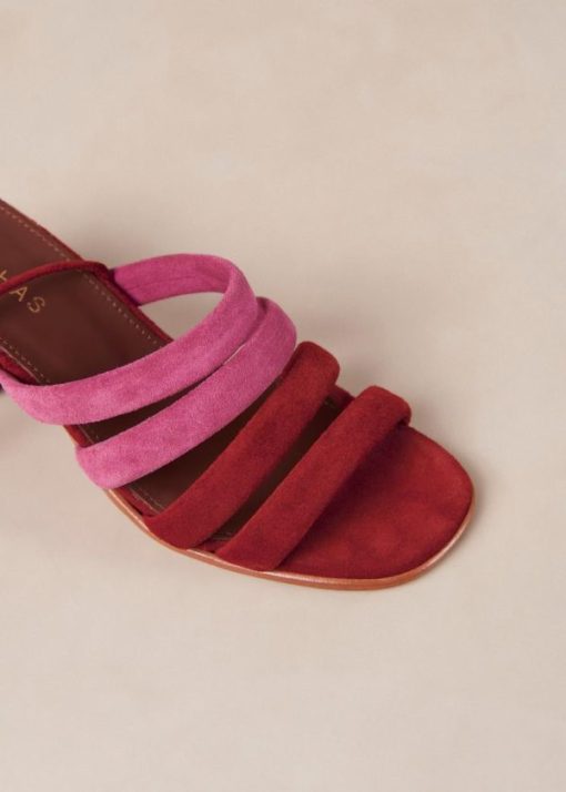Modaary.shopd8af620017 6