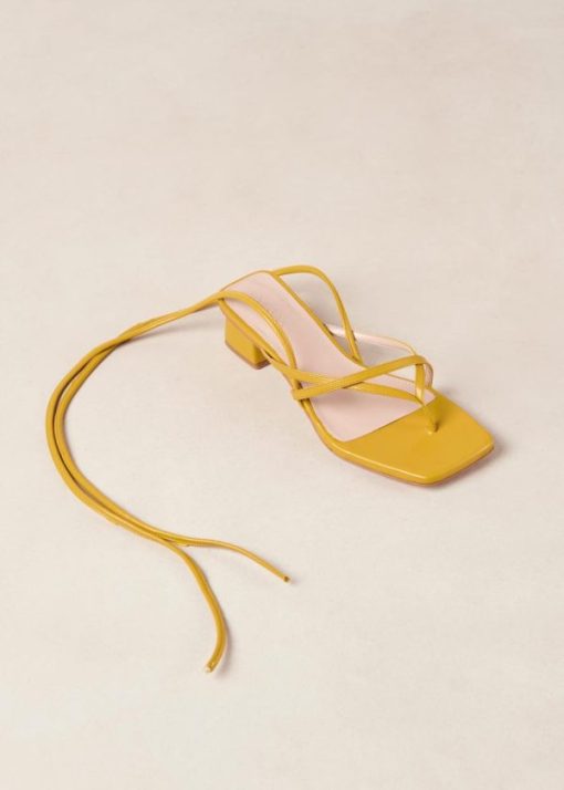 Modaary.shopd99e23ff32 1