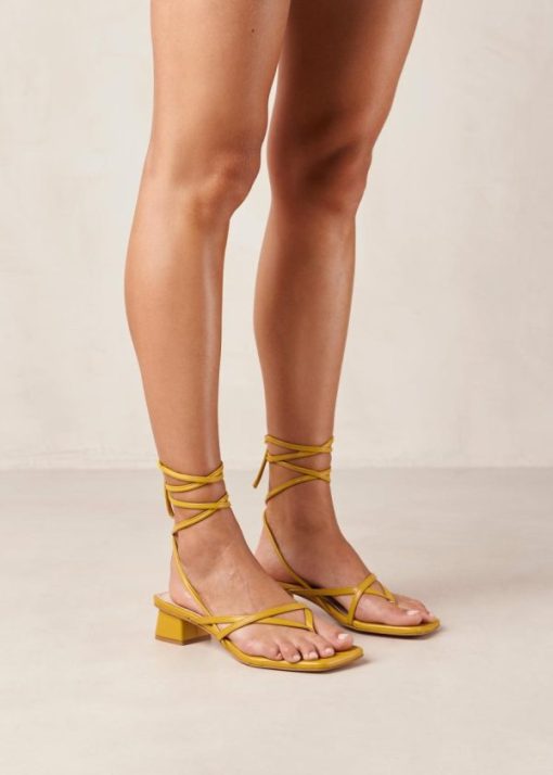 Modaary.shopd99e23ff32 5