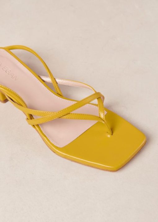 Modaary.shopd99e23ff32 7