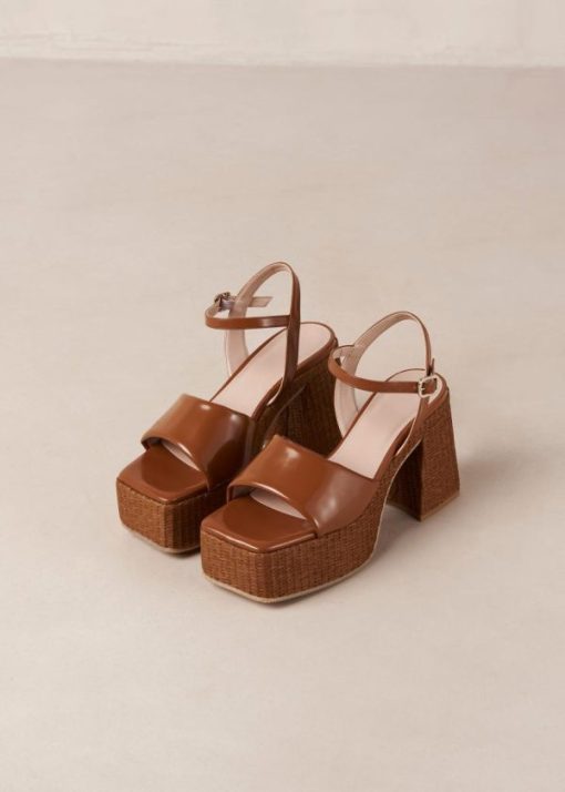 Modaary.shope091f845fb 5