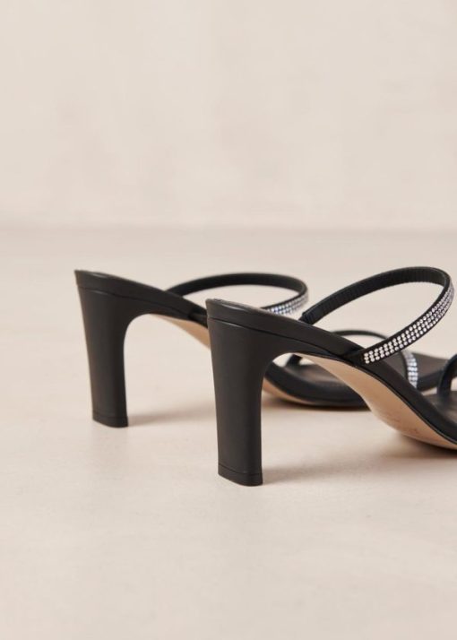 Modaary.shope33ec81086 8