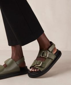 Modaary.shope4b95fb91d 1