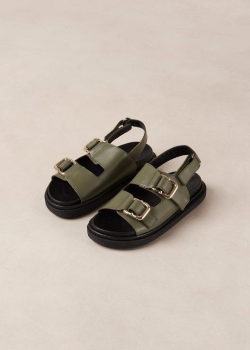 Modaary.shope4b95fb91d 5