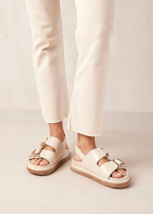 Modaary.shope7088e7644 1