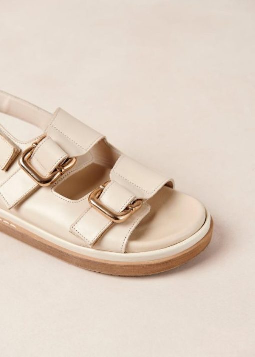 Modaary.shope7088e7644 6