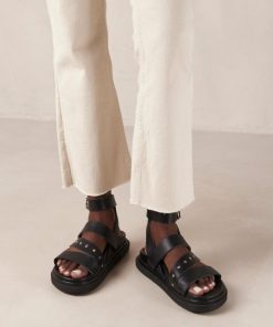 Modaary.shopecf9875023 1