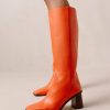 Modaary.shopf07d643c46 10