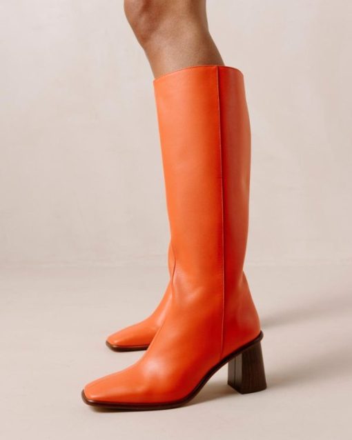 Modaary.shopf07d643c46 10
