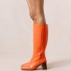 Modaary.shopf07d643c46 12