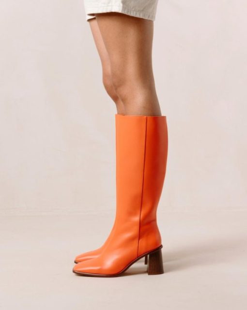 Modaary.shopf07d643c46 12