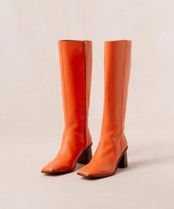 Modaary.shopf07d643c46 2