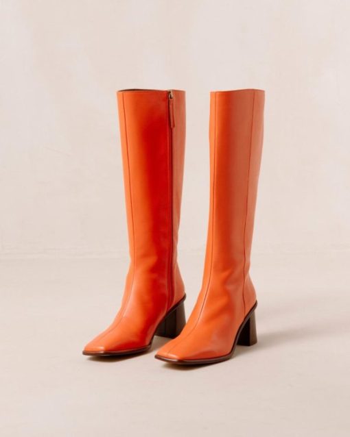 Modaary.shopf07d643c46 2