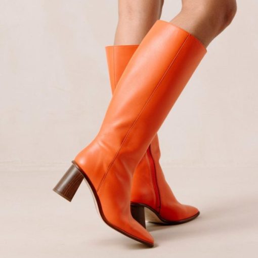 Modaary.shopf07d643c46 5