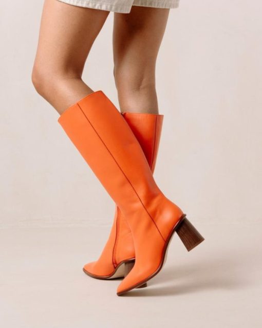 Modaary.shopf07d643c46 7