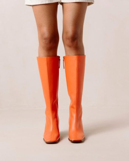 Modaary.shopf07d643c46 8
