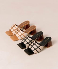 Modaary.shopf71f6219b3 2