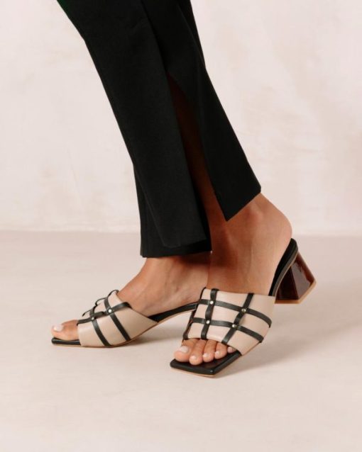Modaary.shopf71f6219b3 7