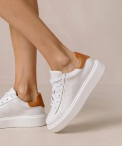 Modaary.shopf7b588e8cf 2