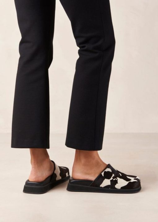 Modaary.shopf84374cea4 1