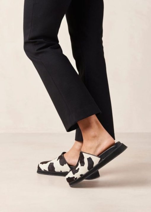 Modaary.shopf84374cea4 5