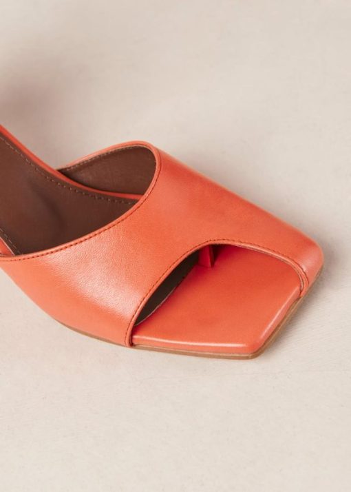 Modaary.shopf952d1c0b7 8