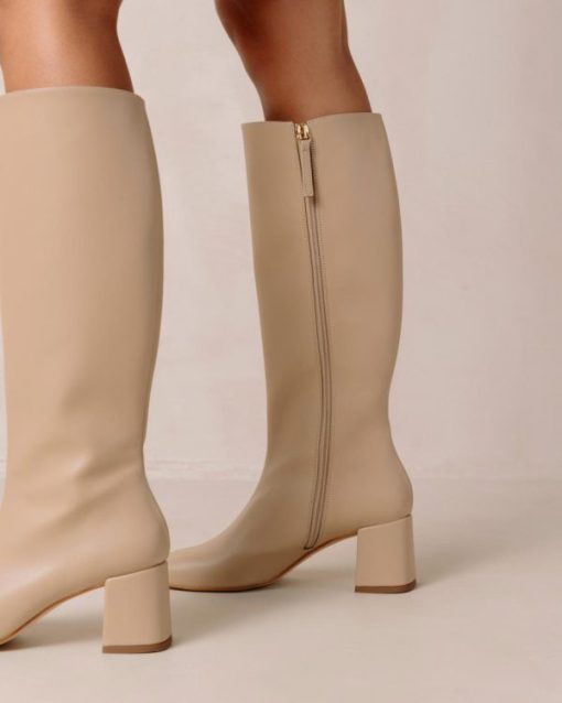Modaary.shopff70ea91e0 6