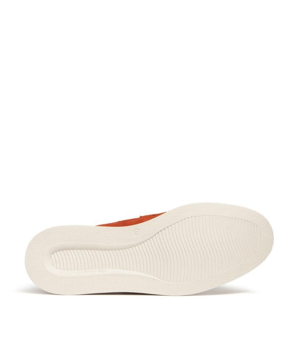 Modaary.shop1c3a7a61ff 4