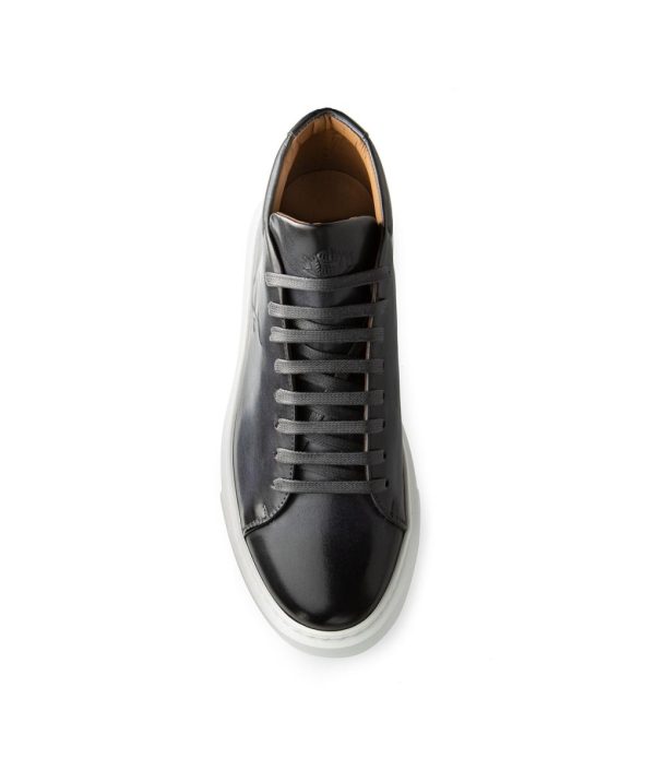 Modaary.shop2621b11369 4