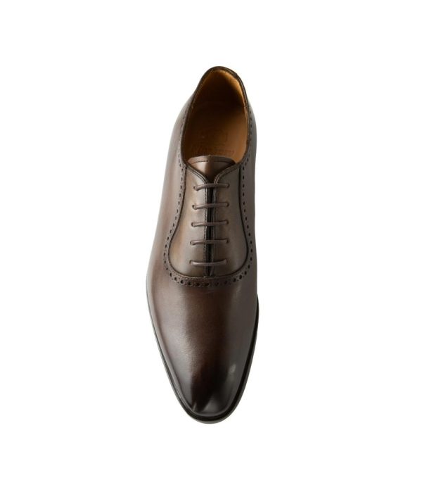 Modaary.shop2ffe10529d 4