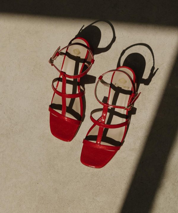 Modaary.shop30f187df37 2