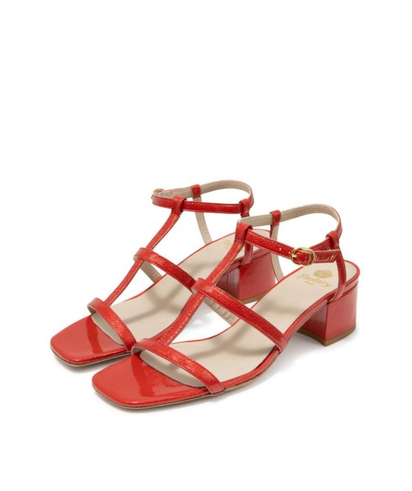 Modaary.shop30f187df37 3