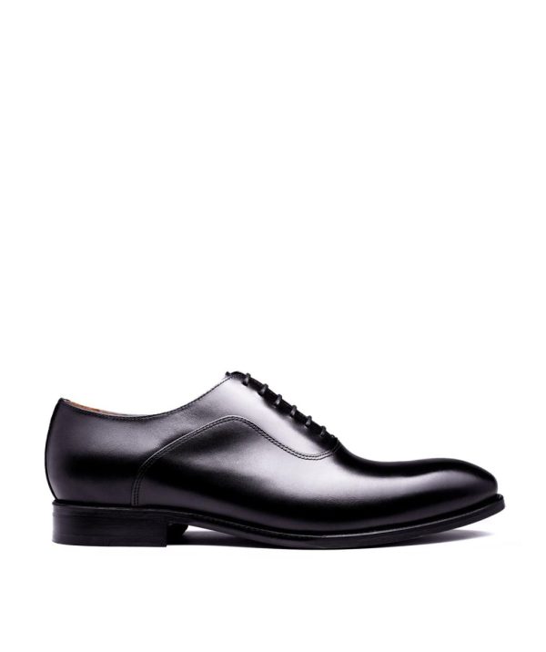 Modaary.shop4f7abaa637 1