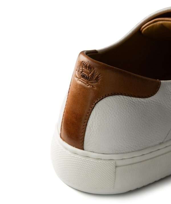 Modaary.shop64b384b49c 3