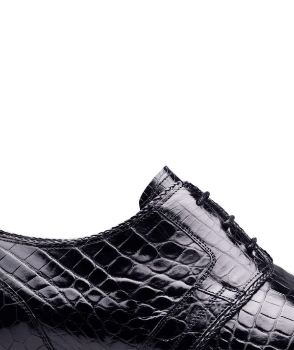 Modaary.shop67c1d77fdd 3