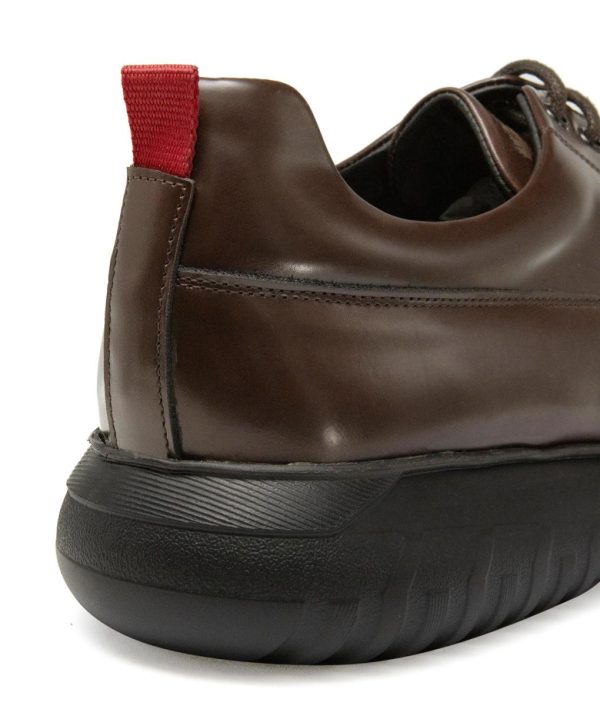 Modaary.shop894c513902 4