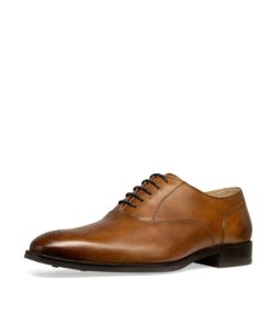 Modaary.shopfc85b1dc14 2